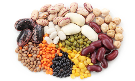 legumes in pregnancy